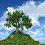 Levapioli: A Hidden High-Protein Meal for Clean Eating