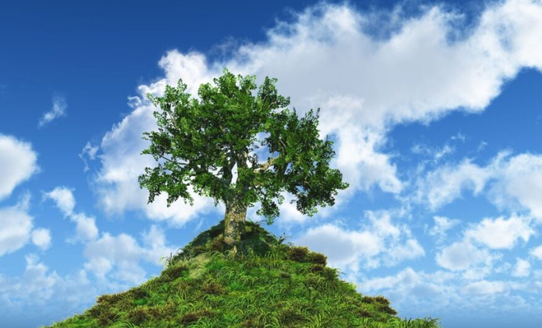 Health threetrees com vn