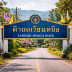 Suçculent Plants: A Simple Guide to Choosing, Caring, and Growing Them